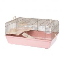 Interzoo Cage pour hamsters Rex 1, pastel 58x38x28,5cm Petit animal