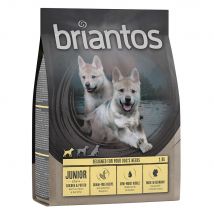 1kg Briantos Junior poulet, pommes de terre SANS CÉRÉALES - Croquettes pour chien