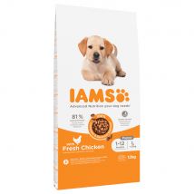 Lot IAMS Advanced Nutrition 2 x 12 kg - Puppy Large poulet
