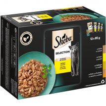 Sheba Multirreceta 24 x 85 g en sobres comida húmeda para gatos - Selección de aves en salsa