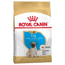 Lots économiques Royal Canin Breed - Pug Puppy/Junior pour chiot (3 x 1,5 kg)