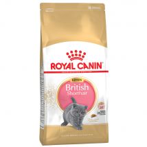 Multipack risparmio! 2 x Royal Canin Feline Crocchette per gatti - 2 x 10 kg British Shorthair Kitten