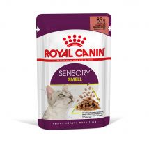 Royal Canin Sensory Smell in Salsa Alimento umido per gatti - Set %: 96 x 85 g