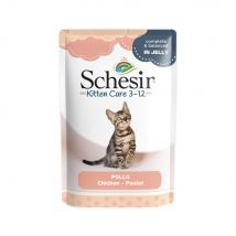 6x85g Kitten Kip in Gelei Schesir Kattenvoer Maaltijdzakjes