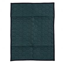Tapis lavable kooa pour chiot -  L 45 x l 60 cm