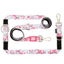 Laisse multifonctionnelle Max & Molly Cherry Bloom - taille S : L 200 cm, l 15 mm