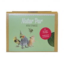 Mucki Kruidenweide Navulverpakking - 2 x Vogelweide met Houder