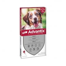 Advantix® Spot-on Antiparassitario per cani oltre 10 kg fino a 25 kg - 4 pipette (2,5 ml)