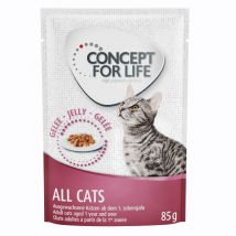 Lot Concept for Life 48 x 85 g pour chat -  All Cats en gelée
