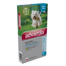 6 Pipetten Advantix® 100/500 voor honden van 4-10kg
