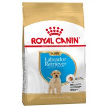 Pack Ahorro: Royal Canin Breed Puppy / Junior - Labrador Retriever Puppy - 2 x 12 kg