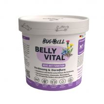 Voordeelpakket: 16x150g BugBell BugKeks insecten, bosbes & psyllium hondensnacks