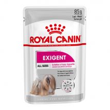 Royal Canin Mini Exigent Crocchette per cane - Come integrazione: 24 x 85 g Umido Royal Canin Exigent