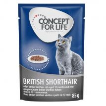Concept for Life British Shorthair Adult - As an Add-on: 12 x 85g Ragout British Shorthair Adult Wet Food
