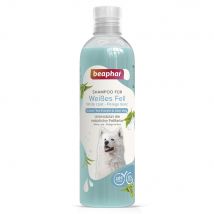 Shampooing beaphar - 250 mL