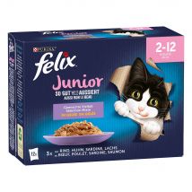 Felix Fantastic Junior en gelatina - 48 x 85: pollo, vacuno, salmón y sardinas - Pack Ahorro