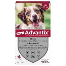 6 pipettes Advantix pour chien de taille moyenne, 10 à 25 kg