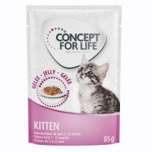 24x85g Kitten en gelée Concept for Life - Nourriture pour Chat