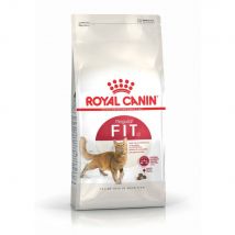 Royal Canin Regular Fit 32 Crocchette gatto - 400 g