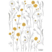 Wandaufkleber A3 - Buttercups and chamomile