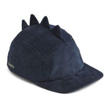 Cooper Kappe - Dino navy