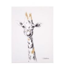 FARBE GIRAFFE 30x40