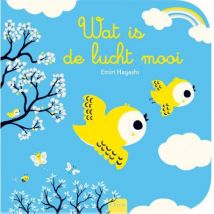 Clavis - Voelboek voor vliegers - Wat is de lucht mooi!