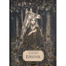 Clavis - Magisch sprookjesboek - Ezelsvel