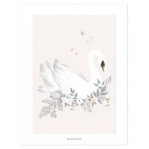 Lilipinso - Poster - Swan - Pink Background