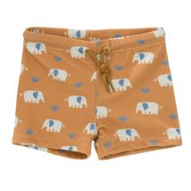 Fresk - UV zwembroek - Elefant 122/128
