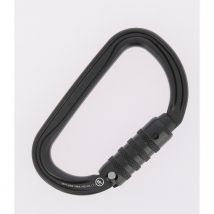 Mousqueton Asymétrique Léger Am'd à Verrouillage Triact-lock - Petzl - Vet Sécurité