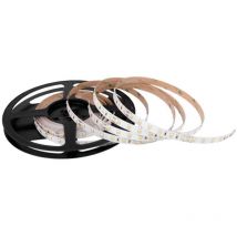 Woltz - Ruban Led Smd 5m 18w/m 24v Ip20 10mm Rgbw Multicolore