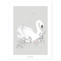 Wandposter - Swan - Grey Background