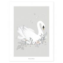 Lilipinso - Poster - Swan - Grey Background