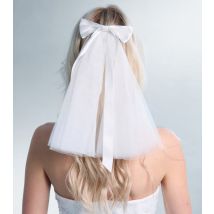 White Mesh Clip On Veil With Bow Public Desire New Look