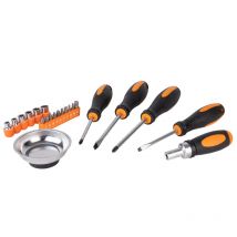 BricolageDirect - Set De Vissage 22pcs