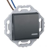 Noane - Interrupteur Poussoir À Voyant Lumineux + Support Anthracite - Gris anthracite