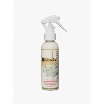 Spray Réimperméabilisant/Anti Tâche