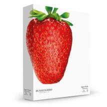 Hummingbird Australia - Klassieke puzzel - I Like Strawberry - 1000 stukjes
