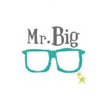 MIMI'lou - Kleurrijke strijkapplicatie mr. big
