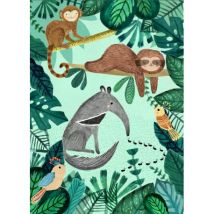 Petit Monkey - Postkaart - Miereneter & Luiaard