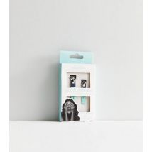 Danielle Creations 2 Pack Mint Green Nail Clippers New Look