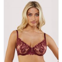 Women's Burgundy Eva Balconette Bra Wolf & Whistle New Look