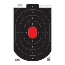 Lot/10 Cibles à 25 Mètres Tout-temps 35 X 40 Cm - Modestone - Vet Sécurité