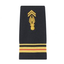 Para miękkich pochw gm - major