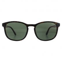 Police Men Square Shiny Havana Green Sunglasses in Brown
