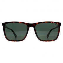 Polaroid Men Rectangle Havana Green Polarized PLD 4180/S in Brown