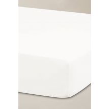 Ted Baker 'TB Plain Dye' Cotton Sateen Fitted Sheet in White | Size: Single