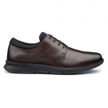 Hotter Men 'Hugo' Formal Shoes in Chocolate | Size: 6