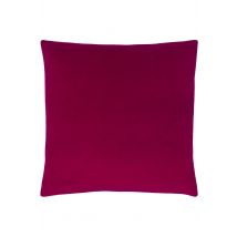 Paoletti Sunningdale Soft Velvet Cushion in Dark Pink | Size: 50cm x 50cm